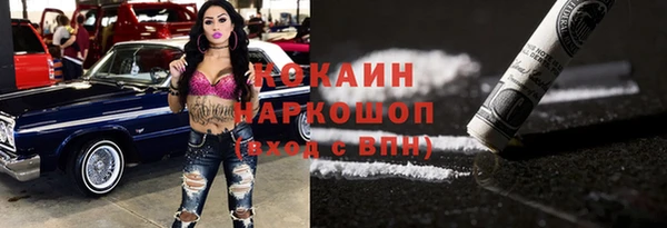 сатива Новозыбков