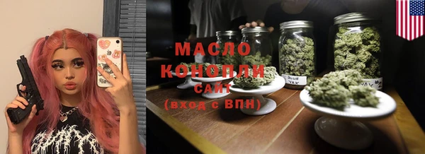 сатива Новозыбков