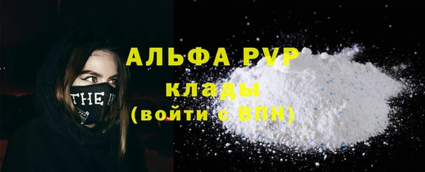 сатива Новозыбков