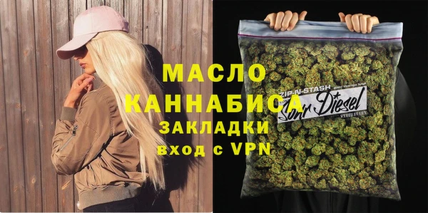 сатива Новозыбков