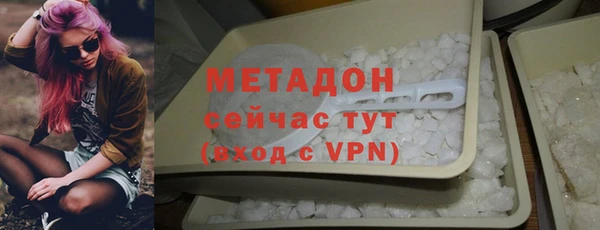 сатива Новозыбков