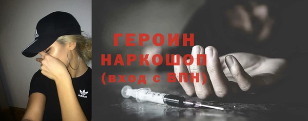 сатива Новозыбков