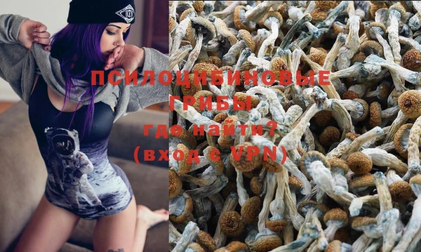синтетический гашиш Новодвинск