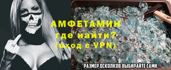 сатива Новозыбков