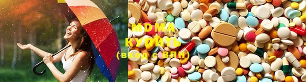 сатива Новозыбков
