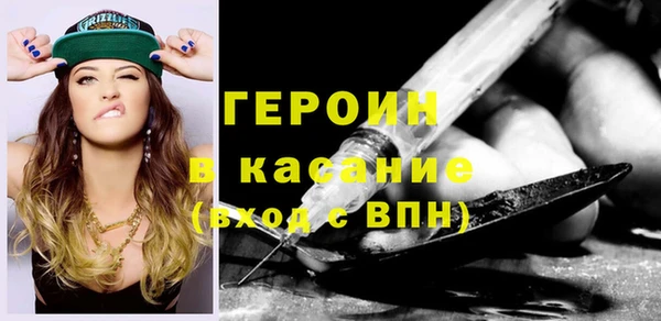 сатива Новозыбков
