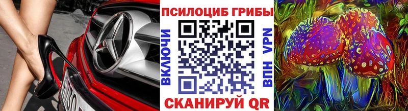 купить наркотик Орлов Галлюциногенные грибы Psilocybe